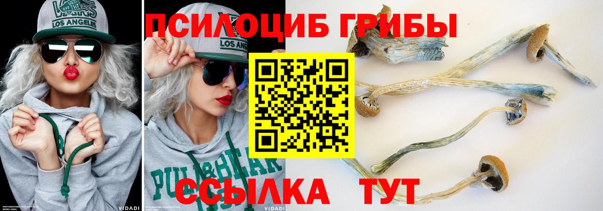 Галлюциногенные грибы MAGIC MUSHROOMS Валуйки